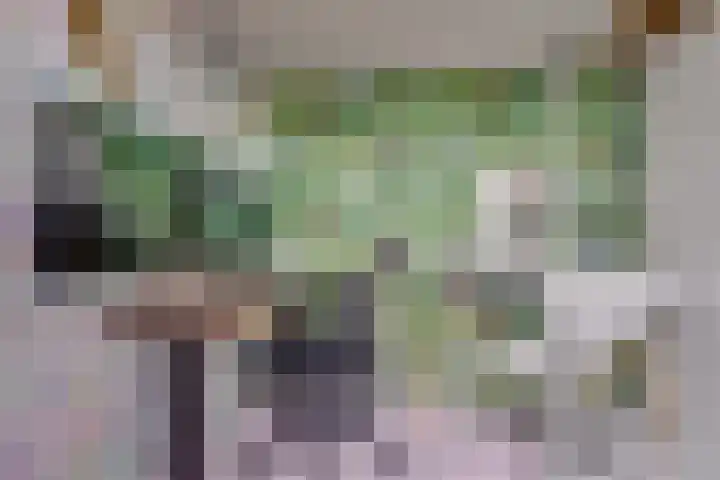 Schonenburgseind 48 3 Houten thumbnail 12