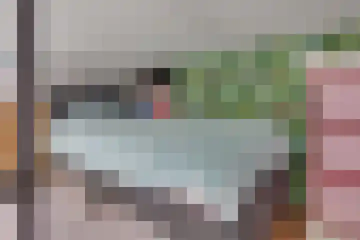 Schonenburgseind 48 3 Houten thumbnail 13