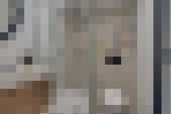 Schonenburgseind 48 3 Houten thumbnail 14