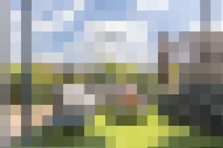 Schonenburgseind 48 3 Houten thumbnail 16