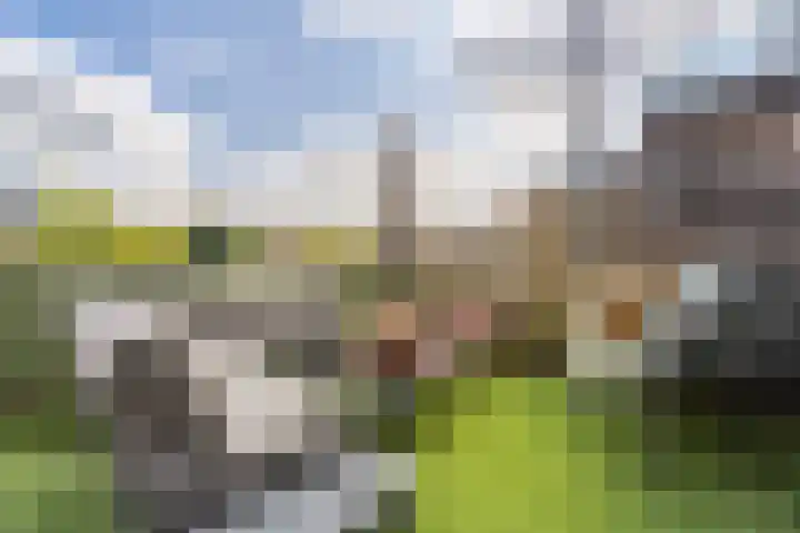 Schonenburgseind 48 3 Houten thumbnail 17