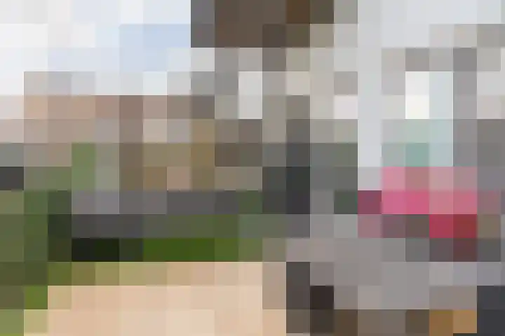 Schonenburgseind 48 3 Houten thumbnail 19