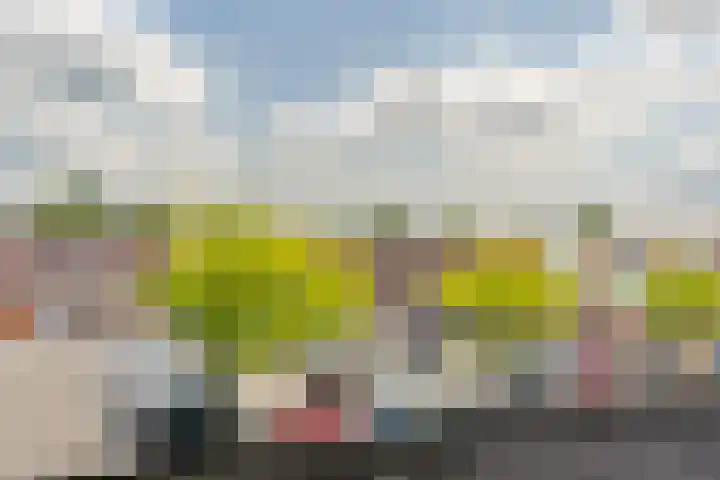 Schonenburgseind 48 3 Houten thumbnail 20