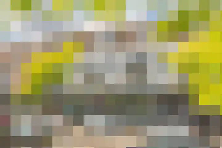 Schonenburgseind 48 3 Houten thumbnail 21