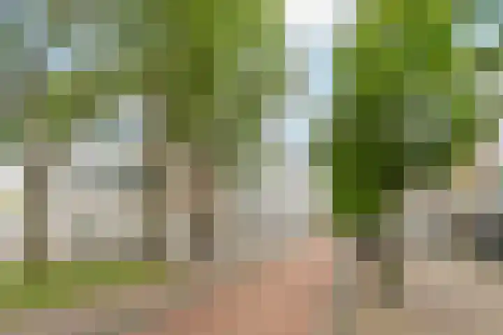 Schonenburgseind 48 3 Houten thumbnail 22