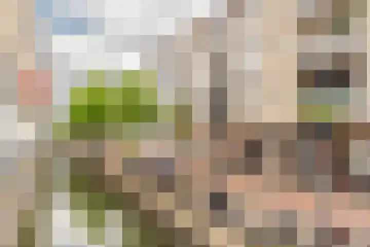Schonenburgseind 48 3 Houten thumbnail 23