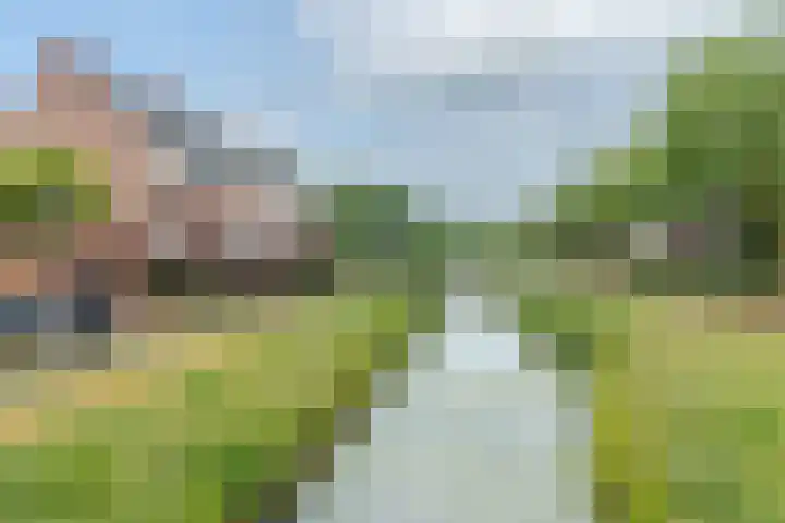 Schonenburgseind 48 3 Houten thumbnail 26