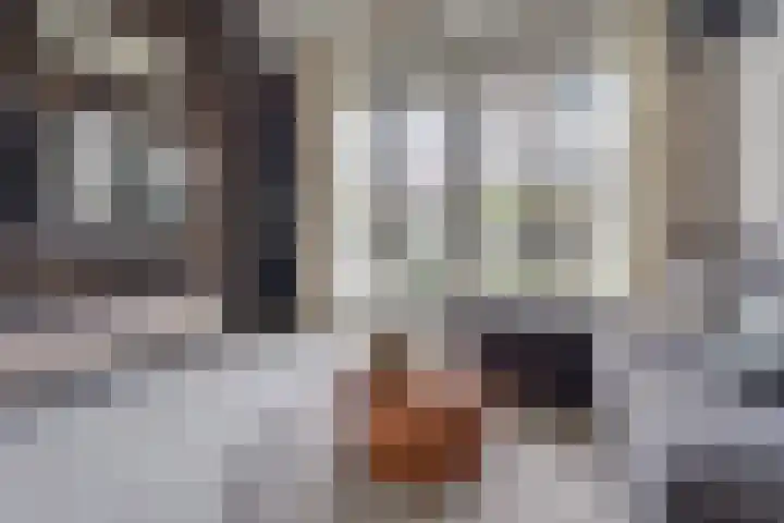 Schonenburgseind 48 3 Houten thumbnail 28