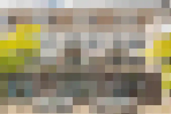 Schonenburgseind 48 3 Houten thumbnail 4