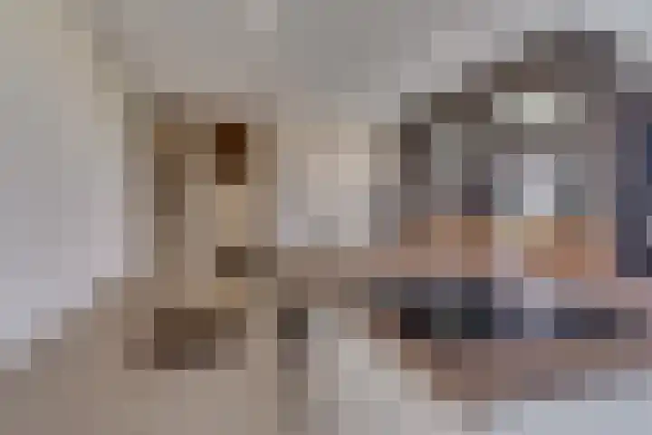 Schonenburgseind 48 3 Houten thumbnail 7