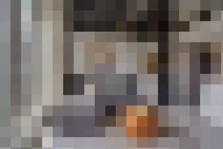 Schonenburgseind 48 3 Houten thumbnail 8