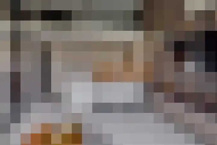 Schonenburgseind 48 3 Houten thumbnail 9