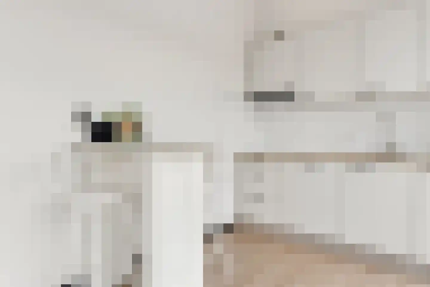 Schonenburgseind 48 5 Houten thumbnail 13