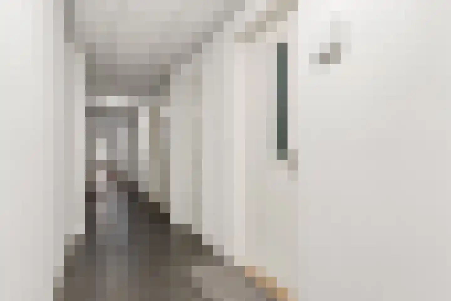 Schonenburgseind 48 5 Houten thumbnail 30