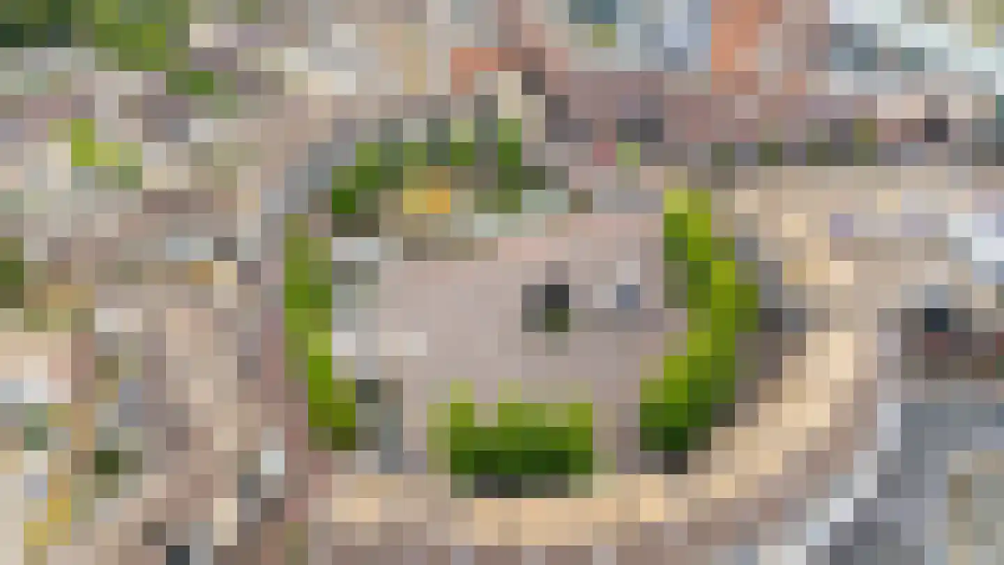 Schonenburgseind 48 5 Houten thumbnail 37
