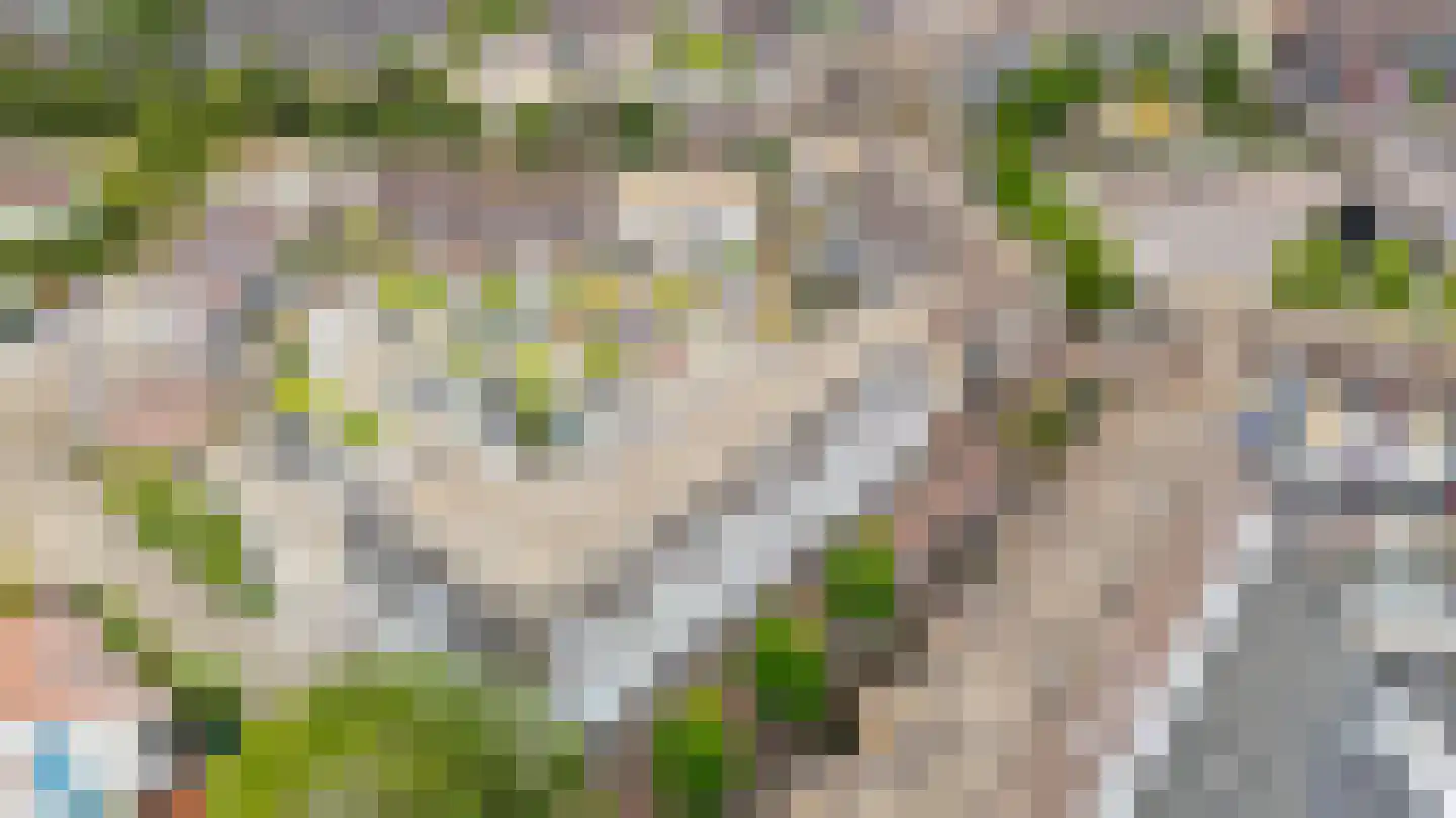Schonenburgseind 48 5 Houten thumbnail 44