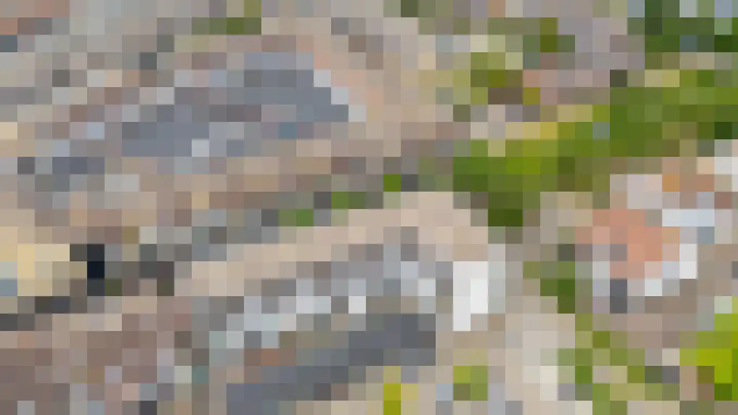 Schonenburgseind 48 5 Houten thumbnail 46