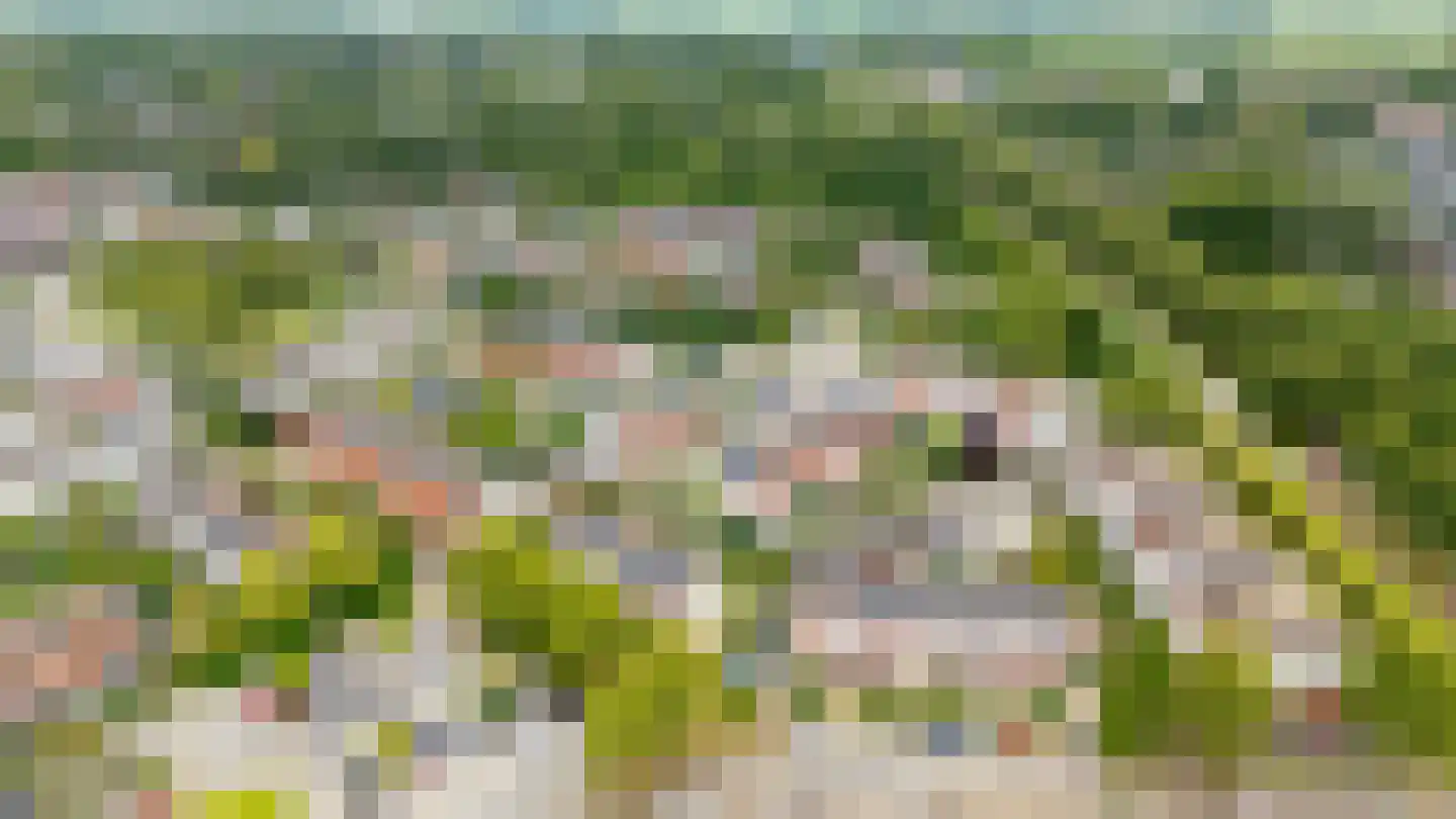 Schonenburgseind 48 5 Houten thumbnail 47