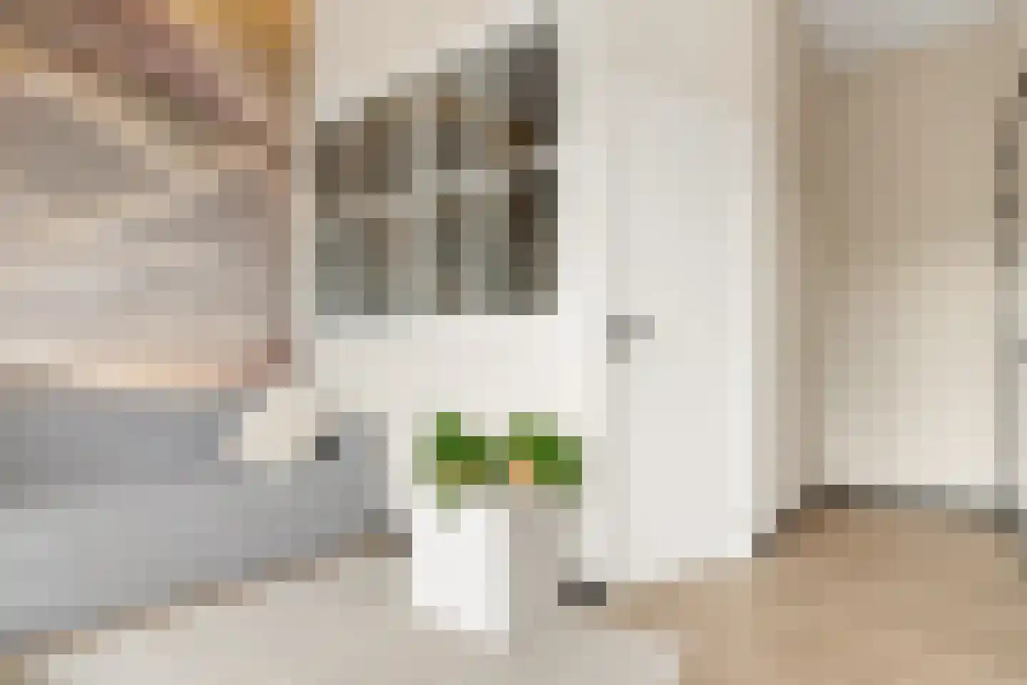 Schonenburgseind 48 5 Houten thumbnail 9