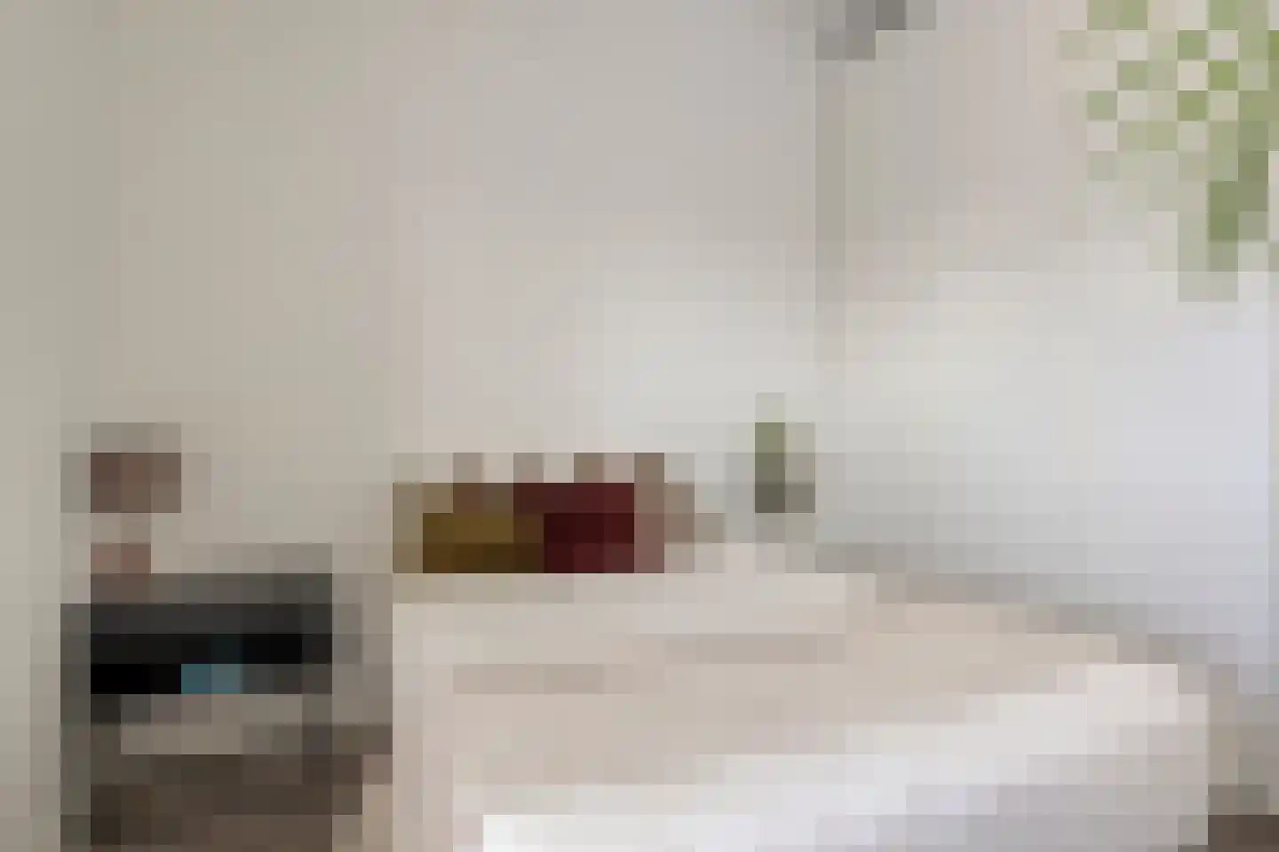 Schonenburgseind 52 1 Houten thumbnail 13