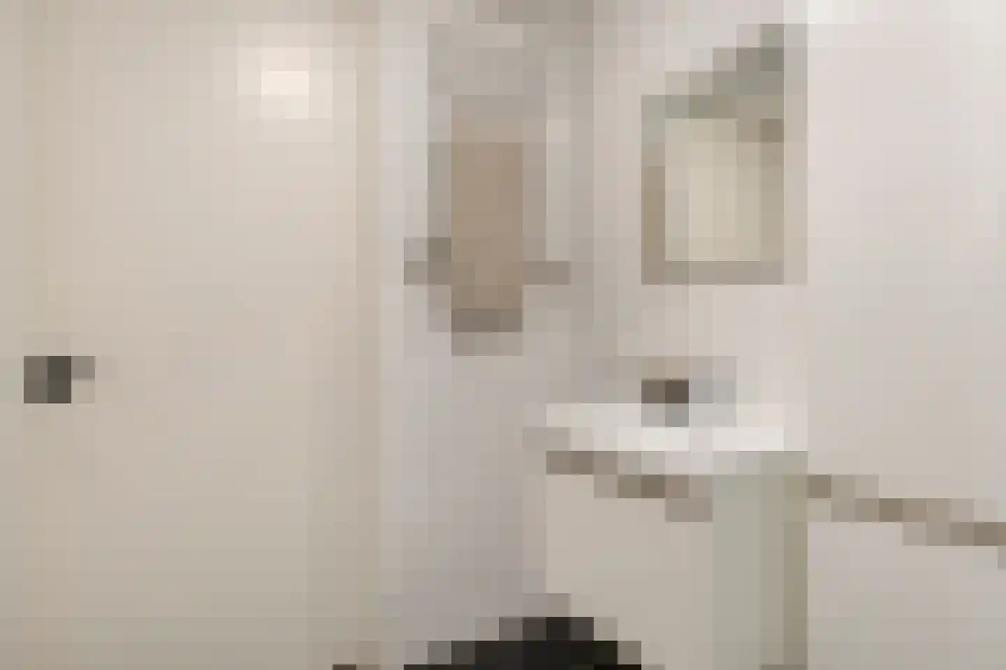 Schonenburgseind 52 1 Houten thumbnail 16