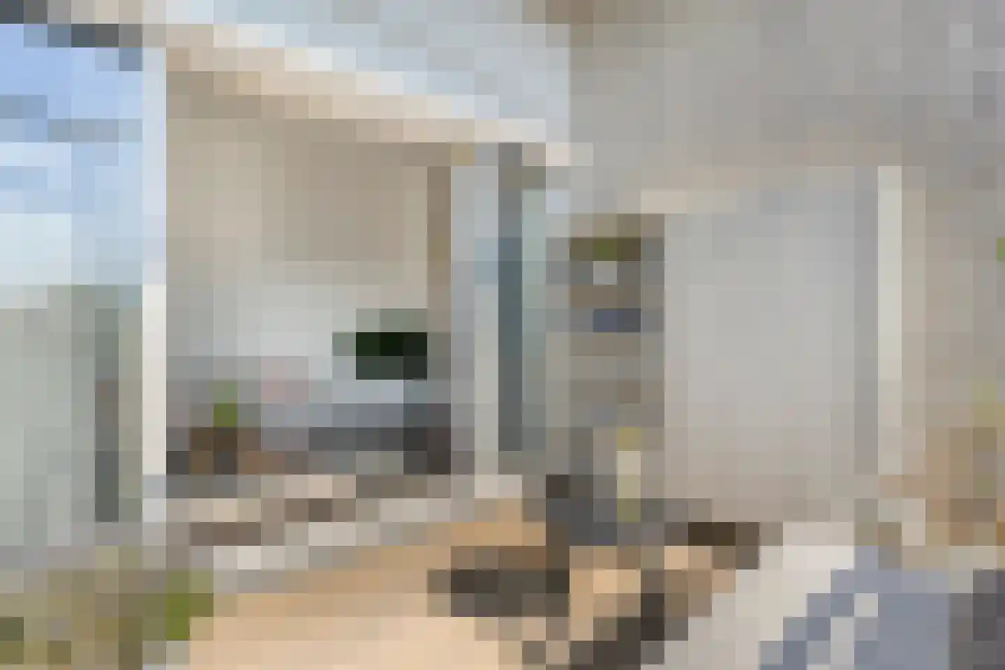 Schonenburgseind 52 1 Houten thumbnail 20