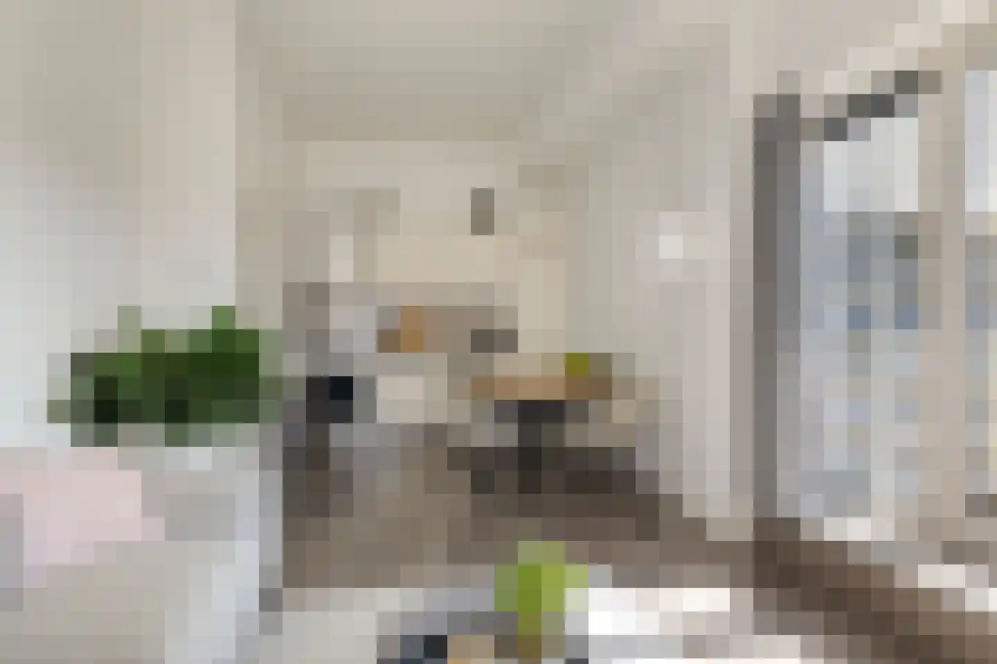 Schonenburgseind 52 1 Houten thumbnail 8