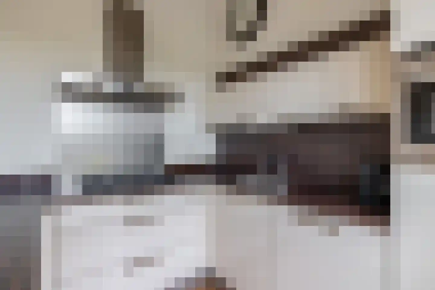 Schonenburgseind 52 3 Houten thumbnail 11
