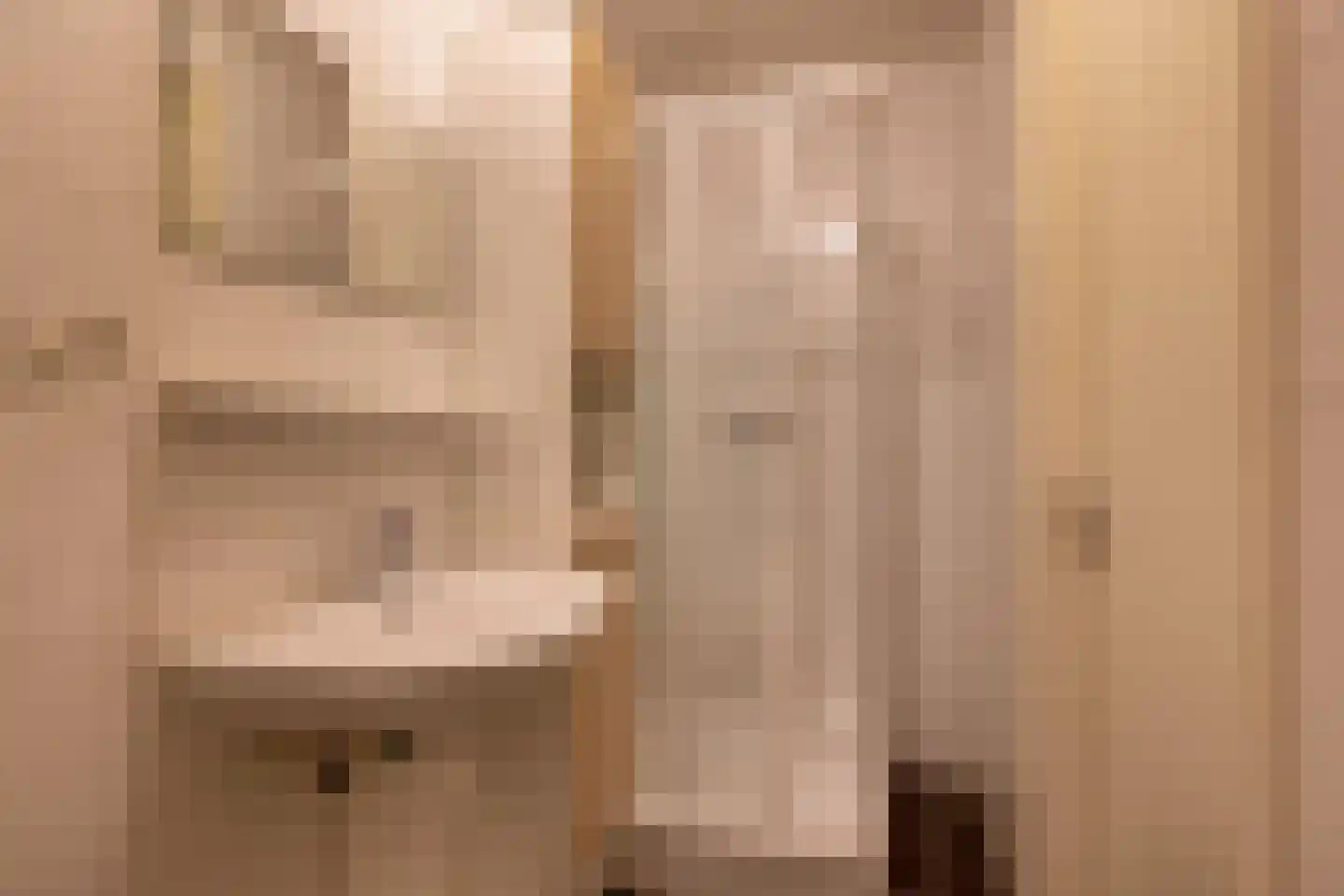 Schonenburgseind 52 3 Houten thumbnail 17