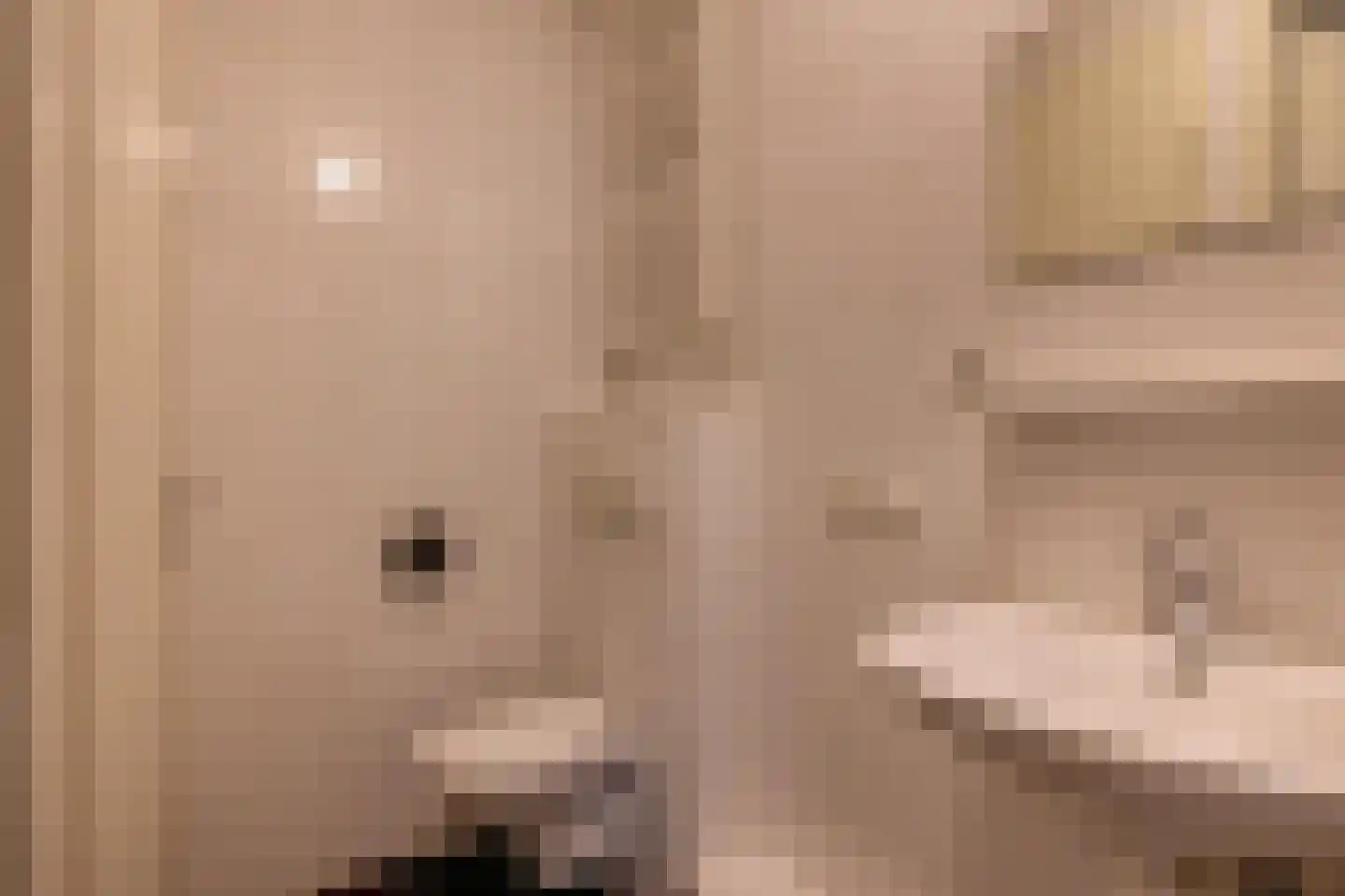 Schonenburgseind 52 3 Houten thumbnail 18