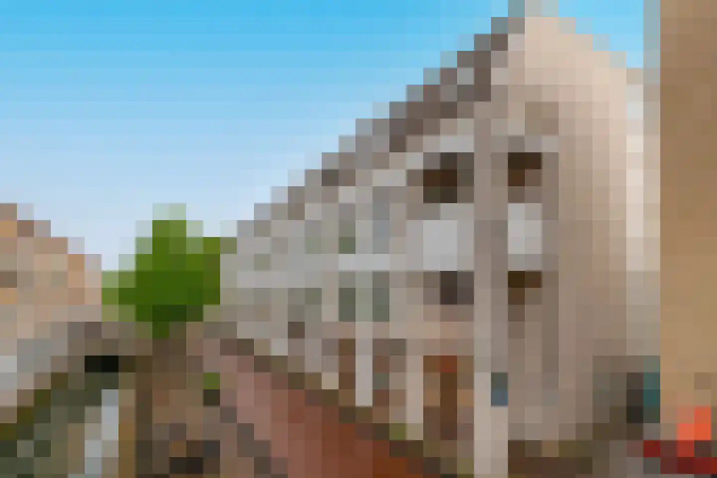 Schonenburgseind 52 3 Houten thumbnail 20