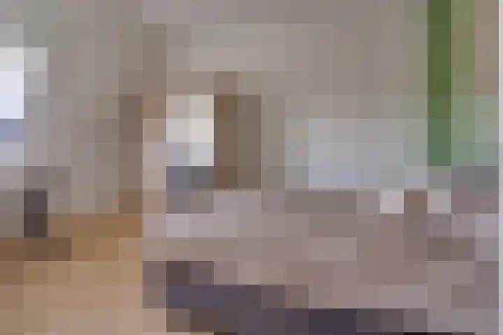 Schonenburgseind 54 4 Houten thumbnail 15