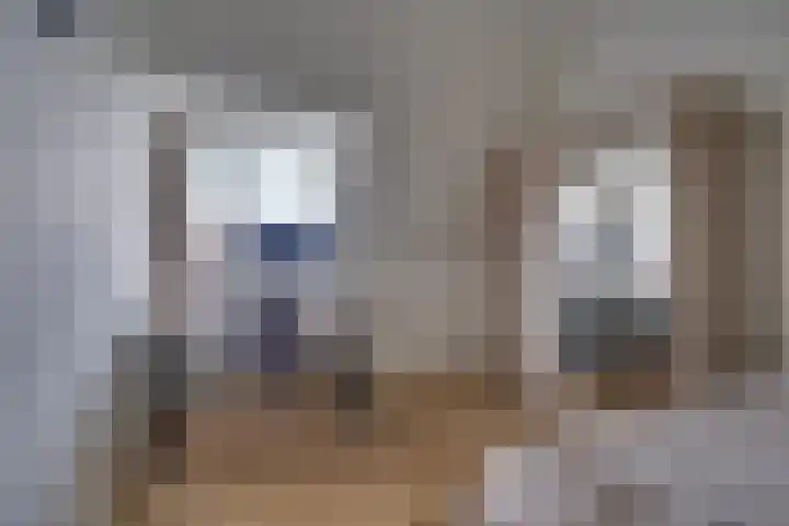 Schonenburgseind 54 4 Houten thumbnail 16