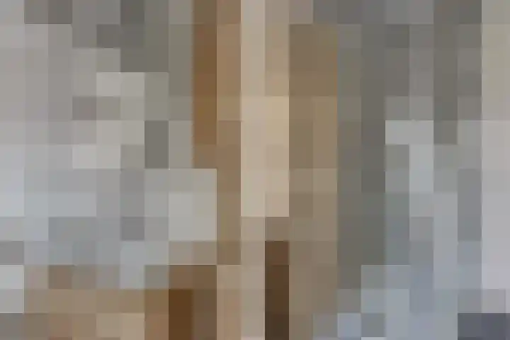 Schonenburgseind 54 4 Houten thumbnail 19