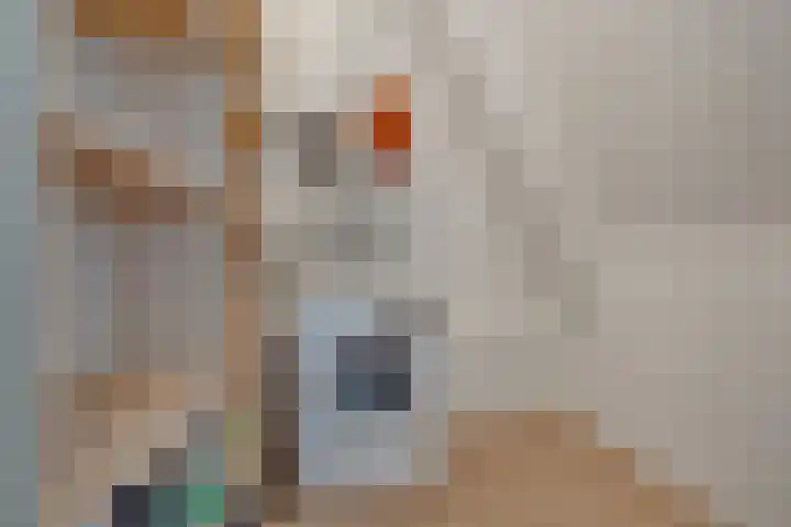 Schonenburgseind 54 4 Houten thumbnail 20