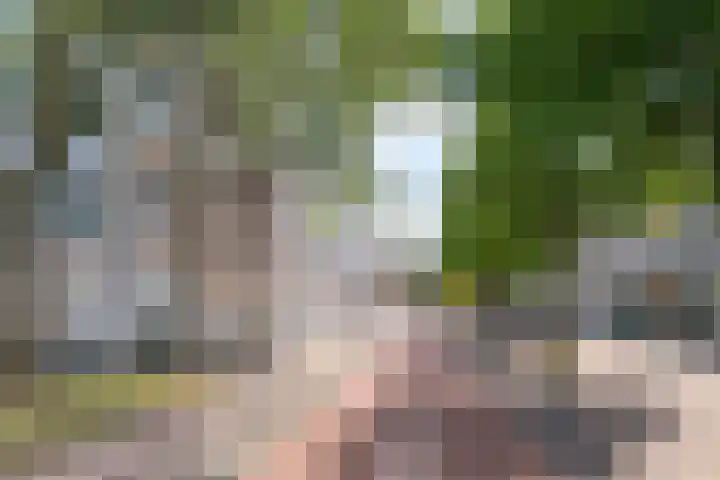 Schonenburgseind 54 4 Houten thumbnail 22