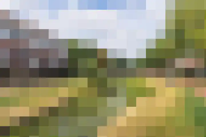 Schonenburgseind 54 4 Houten thumbnail 26