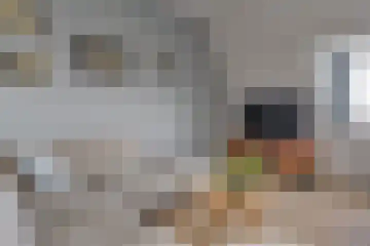 Schonenburgseind 54 4 Houten thumbnail 7
