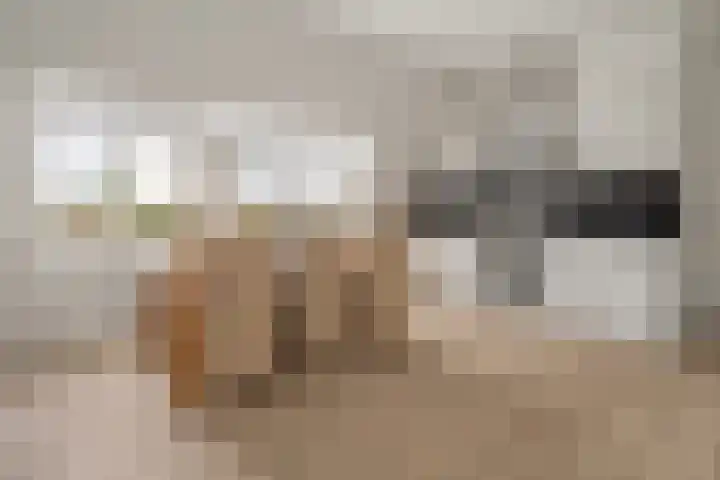 Schonenburgseind 56 2 Houten thumbnail 10