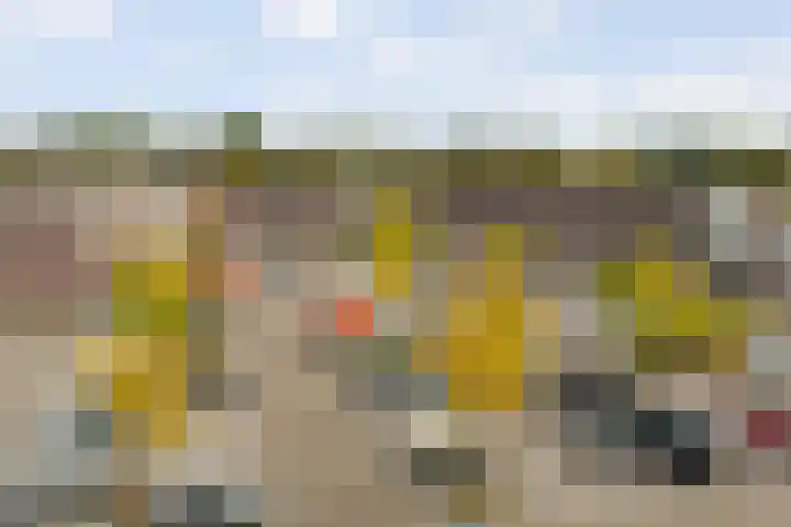 Schonenburgseind 56 2 Houten thumbnail 11