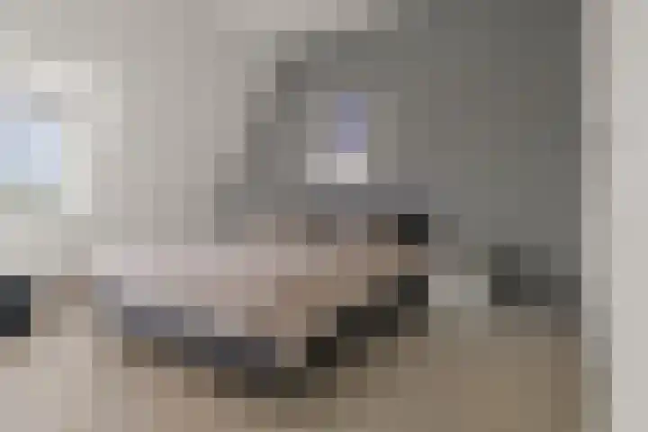 Schonenburgseind 56 2 Houten thumbnail 19
