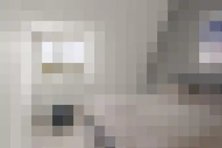 Schonenburgseind 56 2 Houten thumbnail 20