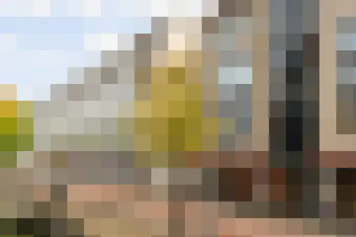 Schonenburgseind 56 2 Houten thumbnail 25