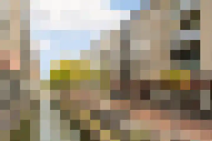 Schonenburgseind 56 2 Houten thumbnail 26