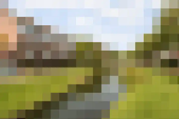 Schonenburgseind 56 2 Houten thumbnail 27