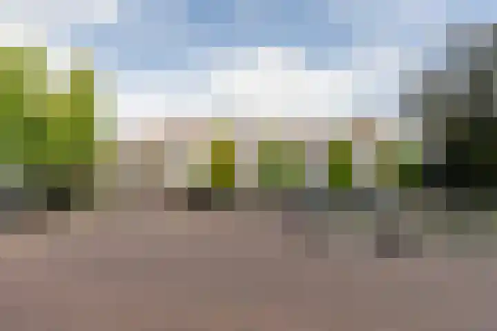 Schonenburgseind 56 2 Houten thumbnail 28