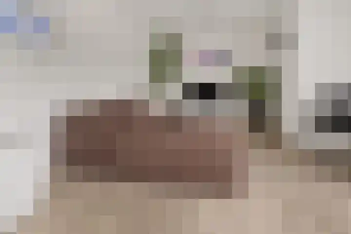 Schonenburgseind 56 2 Houten thumbnail 6