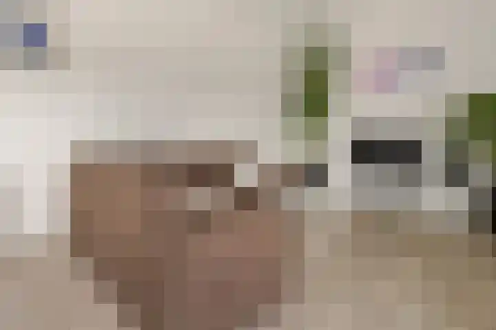 Schonenburgseind 56 2 Houten thumbnail 7