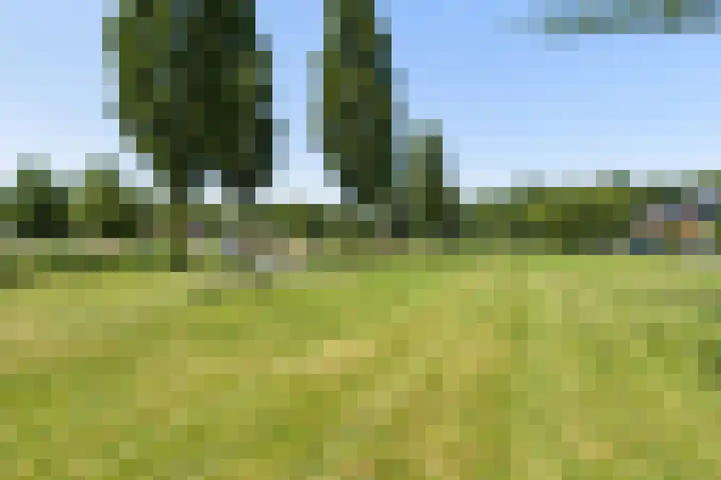 Schonenvaart 14 Almere thumbnail 86