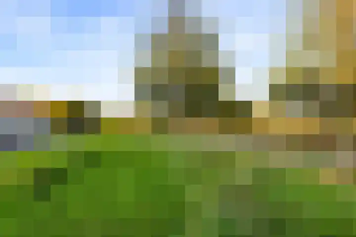 Schonenvaart 24 Almere thumbnail 53